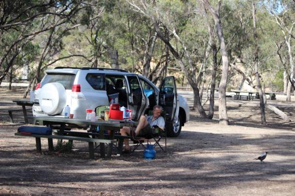 Zwischen Eukalyptusbäumen