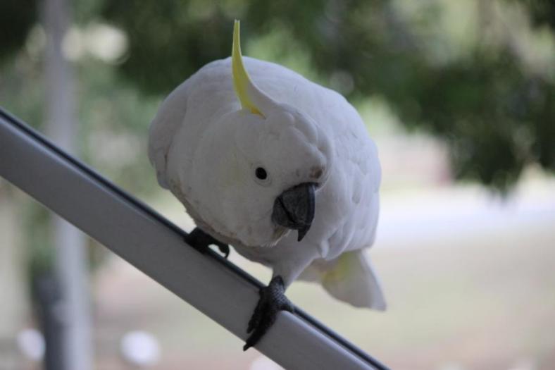 Ich bin so neugierig