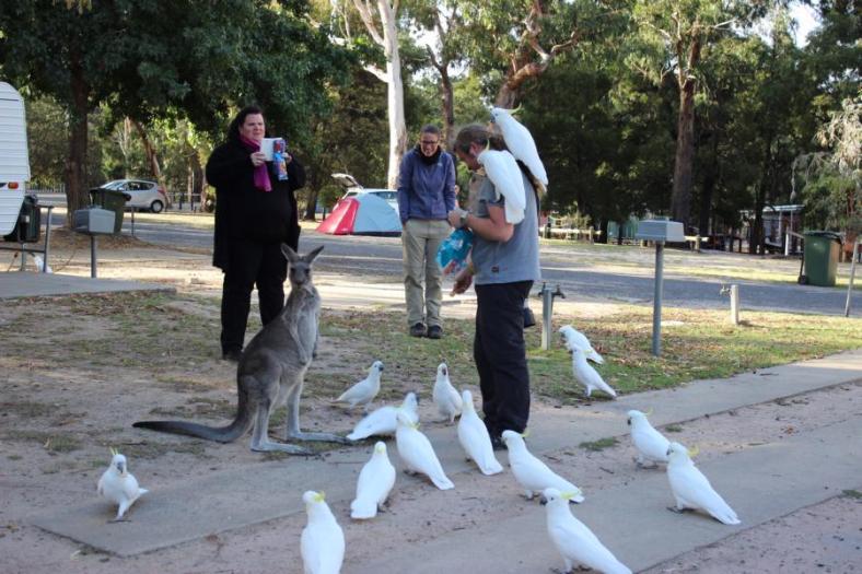 Na da ist ja was los