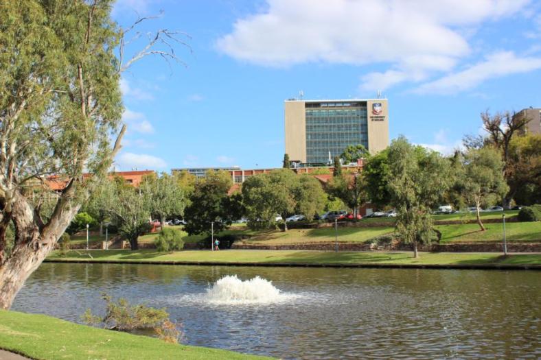 University of Adelaide