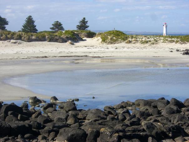 Griffiths Island vor Port Fairy