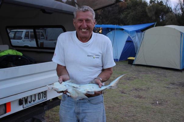 Stan angelt einen Elephant Shark
