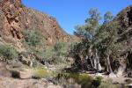 Bunyeroo Gorge