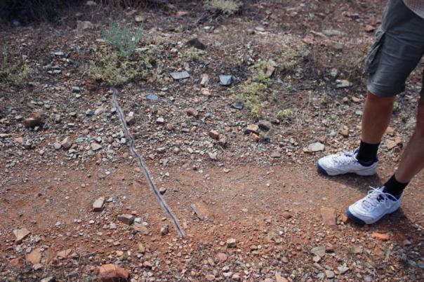 Was ist denn das????