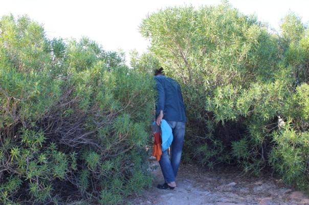 Durch die Büsche zum Spa