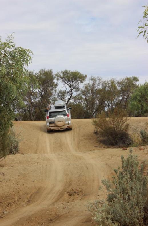 Bruce fühlt sich pudelwohl