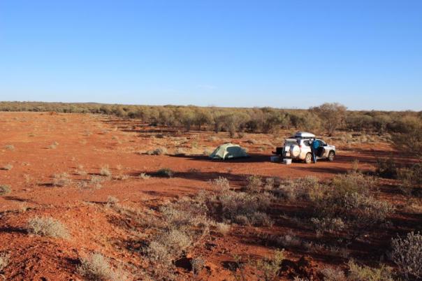 Einsamkeit am Tanami Track