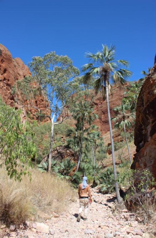 Vor der Echidna Chasm