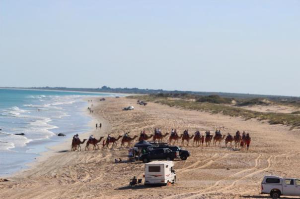 Kamelzug kreuzt einen festsitzenden Touristen