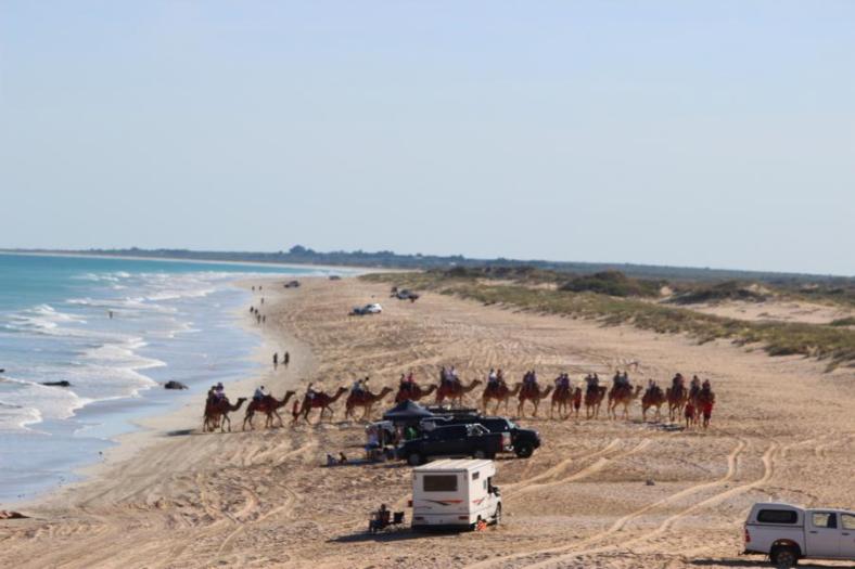Kamelzug kreuzt einen festsitzenden Touristen
