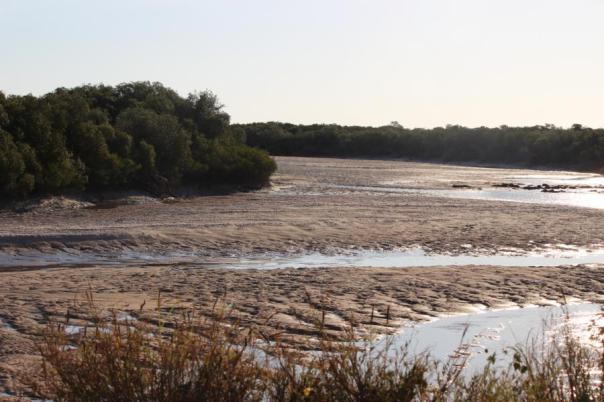 Ebbe Mangrovenbucht
