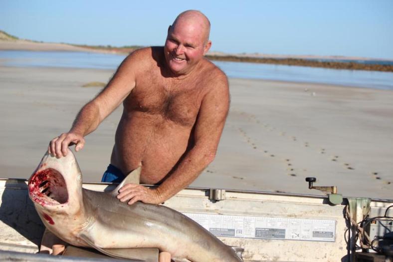 Unser Dinner ist heute ein Shark-Steak