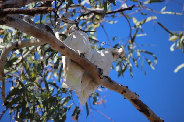 Wir werden beobachtet