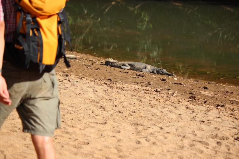 Sicherheitsabstand für Freshies