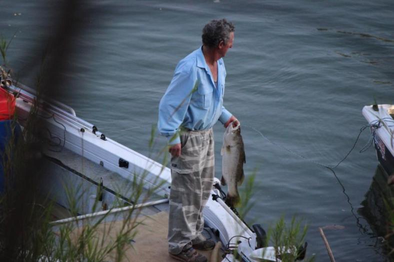 Abendessen ist gerettet