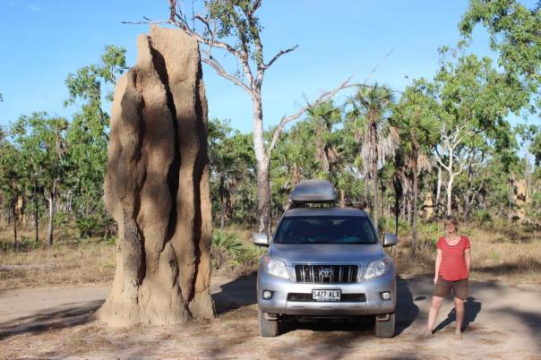 Bugger, ein australischer Ausdruck für oh Mann, oder Schitt
