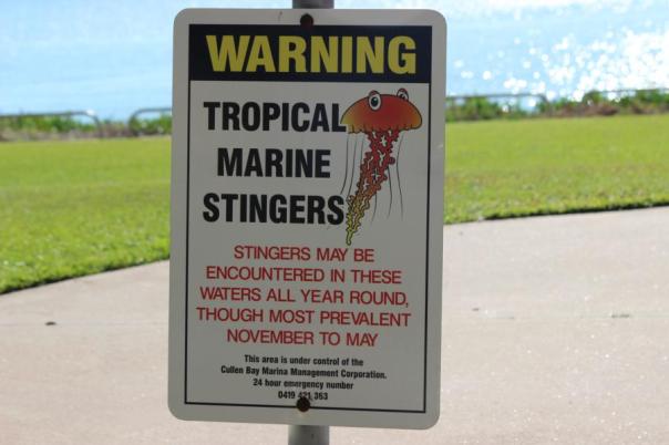 Strand Darwin, sehr unangenehm bis tödlich