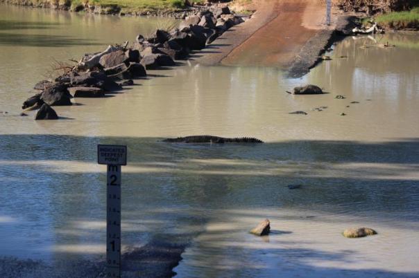 Vielleicht ist es auf der anderen Seite besser, Cahills Crossing