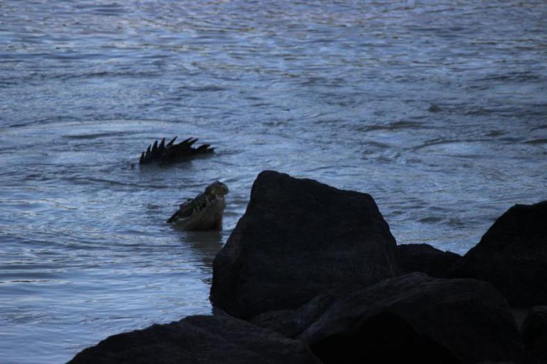...schmeckt lecker, Cahills Crossing