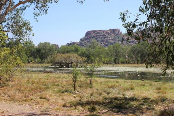 Sandy Billabong, Kakadu NP