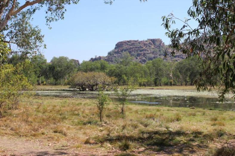 Sandy Billabong, Kakadu NP