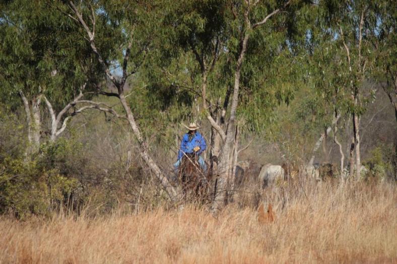 Savannah Way, Irgendwo im Outback