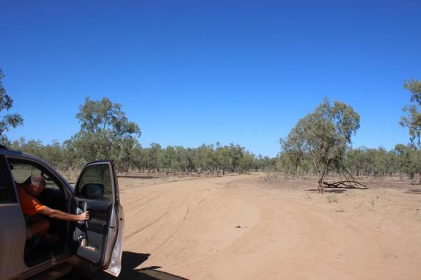 Auf dem Weg zum Lawn Hill NP