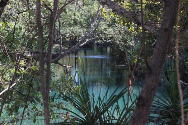 Boodjamulla, Lawn Hill NP