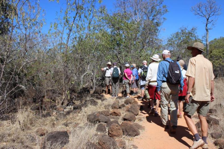 Tour in Undara bei den Lava Tubes