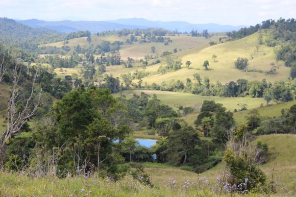 .... Allgäu mit Palmen