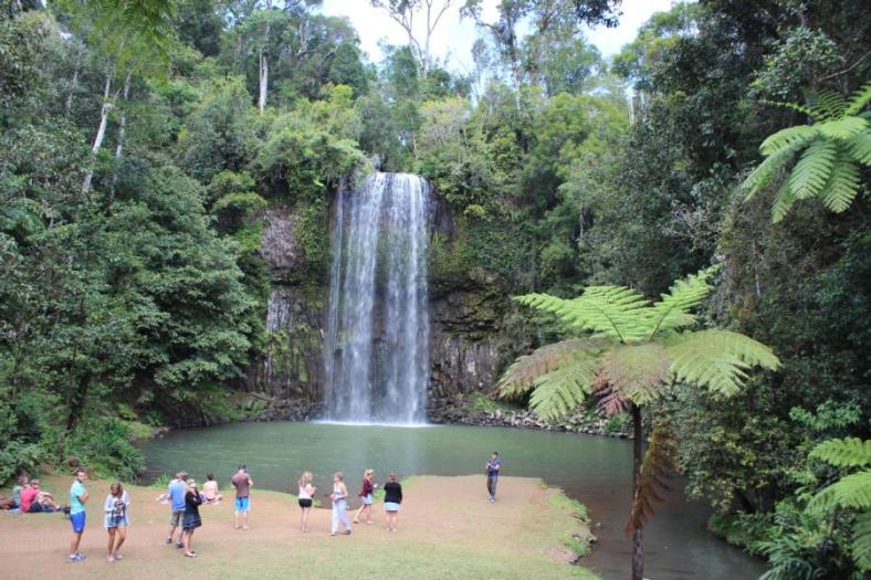 Ellinjaa Fall bei Millaa Millaa