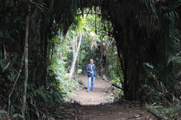 Spaziergang um den Lake Barrine