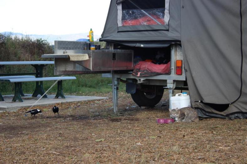 Na wer kommt denn da aus dem Zelt der Campernachbarn