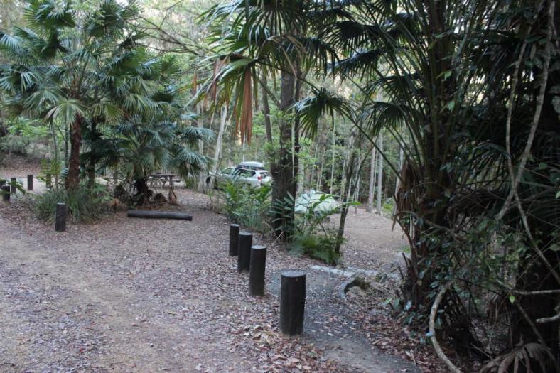 Campingplatz im Eungella NP, sind hier 3 Tage allein