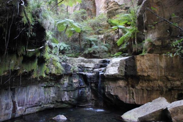 Moss Garden, Carnarvon NP