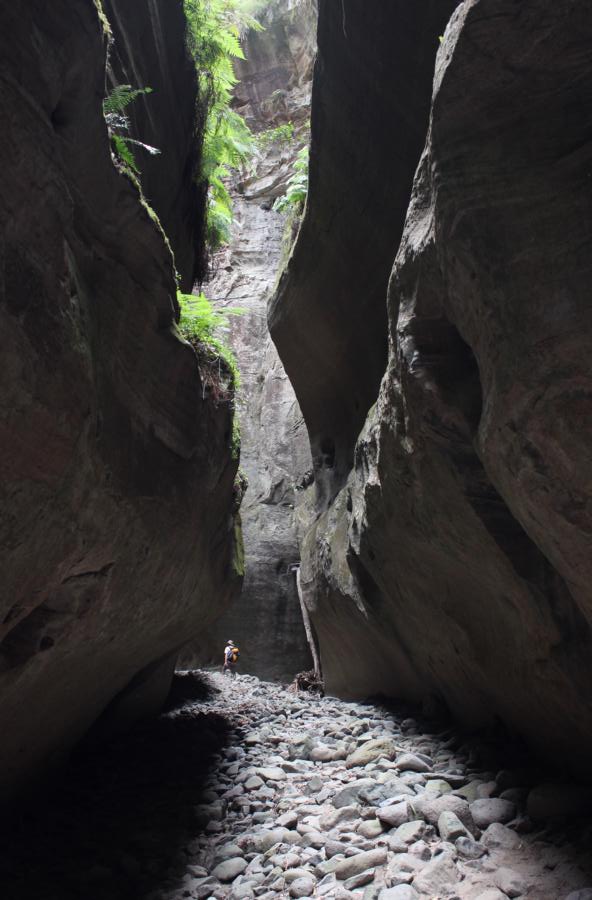 Boowinda Gorge, Carnarvon NP