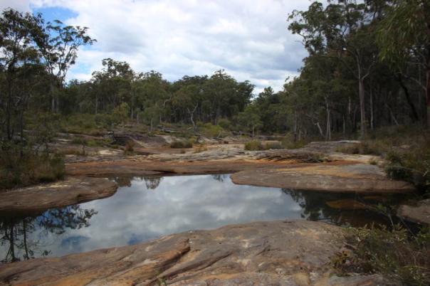 Blackdown Tableland NP