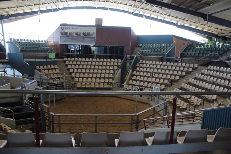 CQ Livestock Exchange, hier wird der beste Bulle prämiert