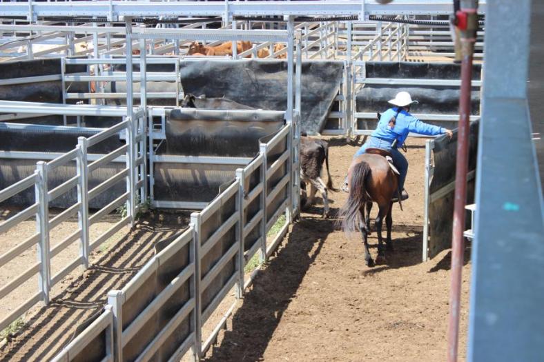 Carmen bei der Arbeit