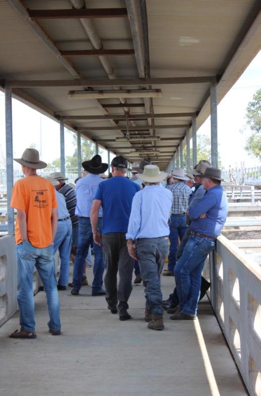 Thomas hat die Hände sicherheitshalber in den Jeanstaschen, sonst haben wir noch ein paar Rinder ersteigert