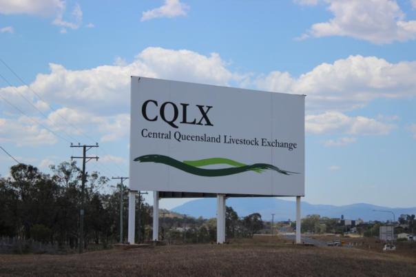 CQ Livestock Exchange