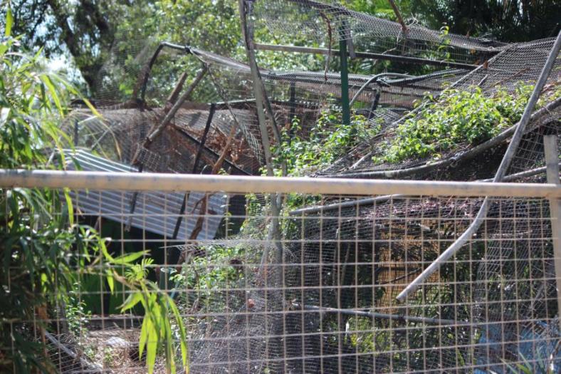 Es ist immer noch vieles vom Cyclon Marcy zerstört der hier im Februar 2015 tobte