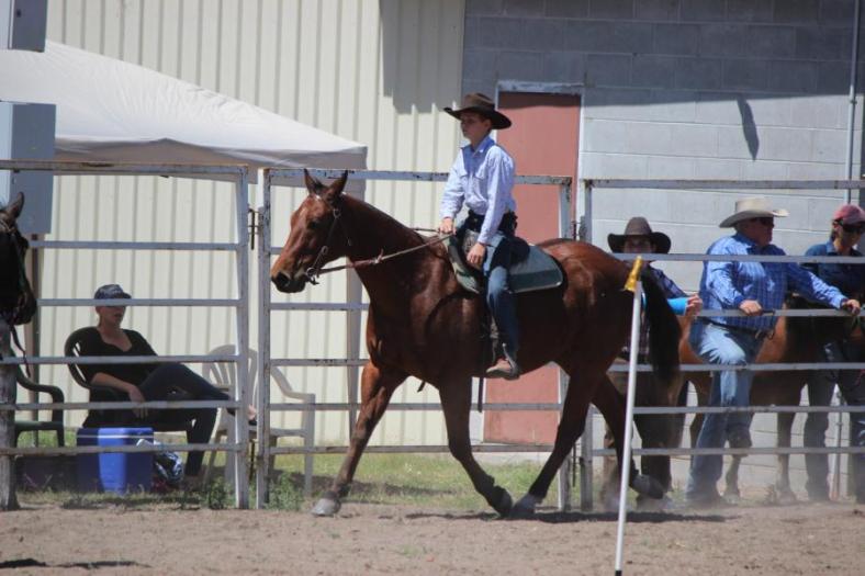 Unser Liebling, der ist so cool