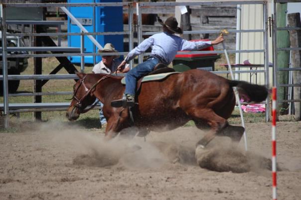 .... und kann super reiten, ca 10 Jahre alt