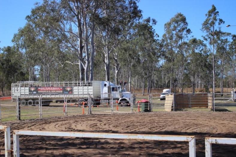 Der erste Viehtransporter