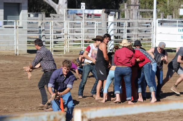 Schnell das Feuerholz sammeln