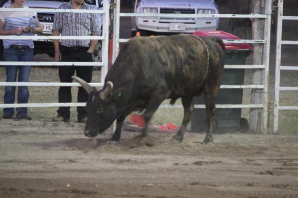 Vorsicht, ich bin gereizt