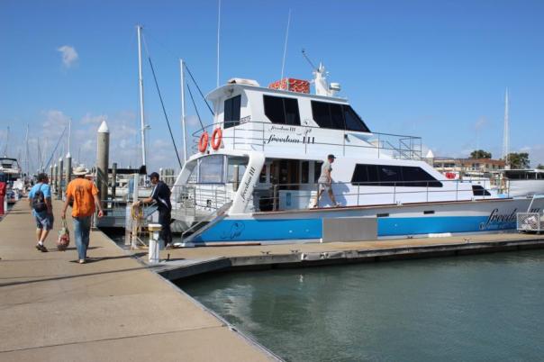 Mit dem Schiff geht's zur Wale watching Tour