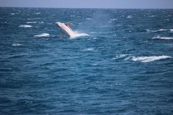 Und wieder raus aus dem Wasser