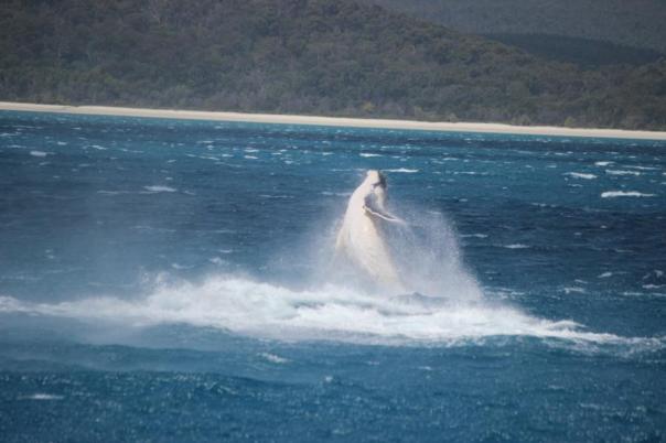 Der Kleine ist nicht mehr zu stoppen